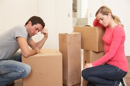 Professional man with van service for flat moves in Leyton